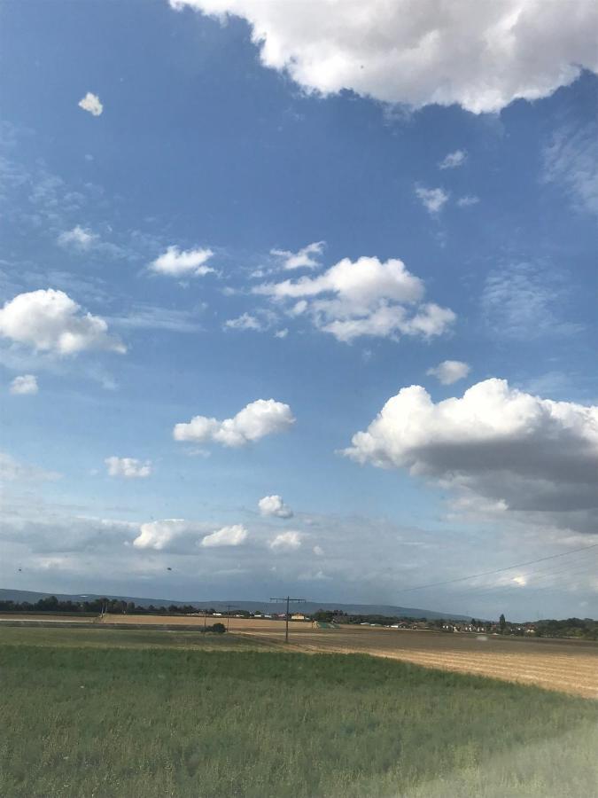 Laupus-Hof Apartman Bad Vilbel Kültér fotó